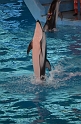 Kids_SeaWorldSA-2013 (275)